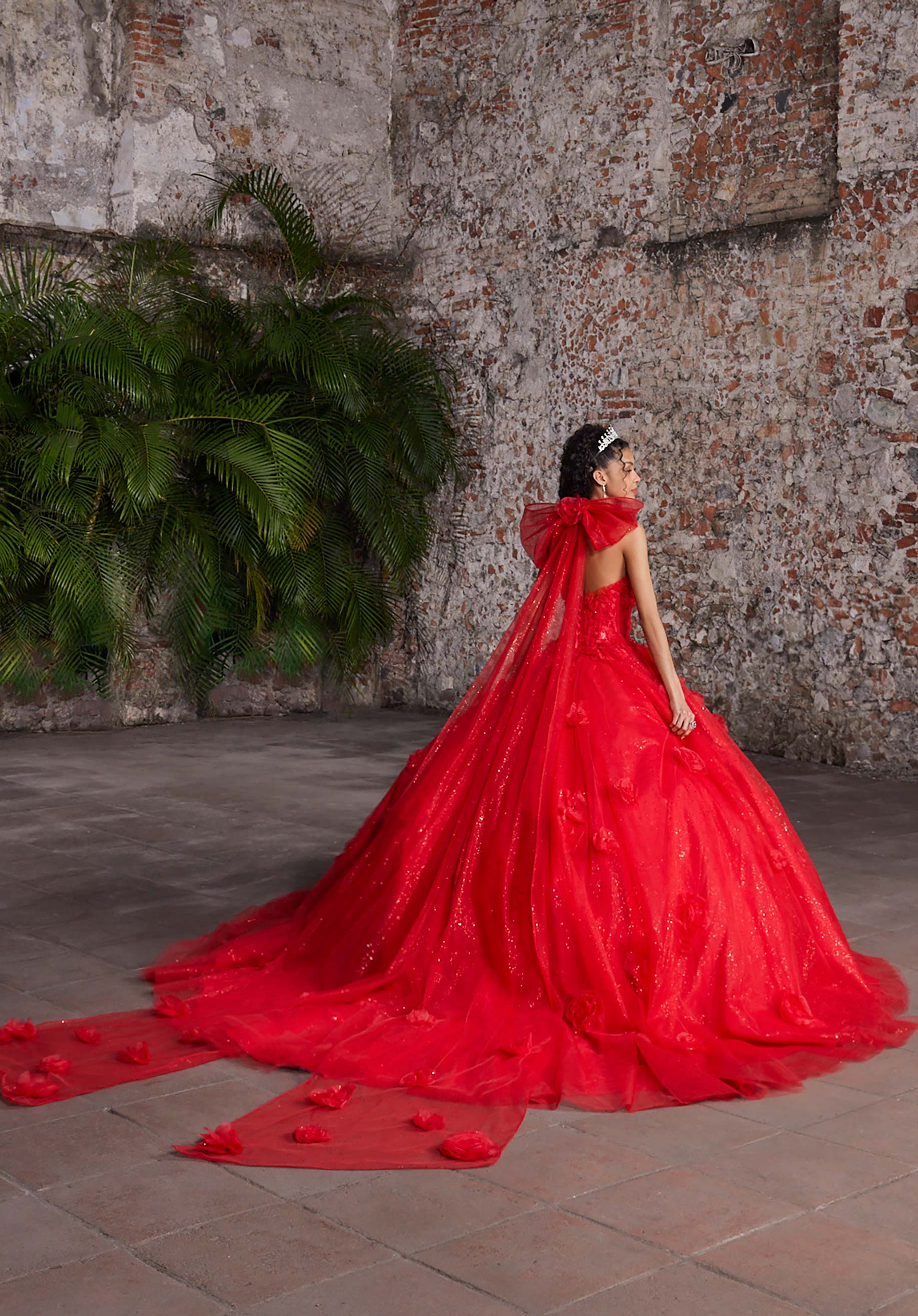 Anastasia Quinceañera Dress - Image 3