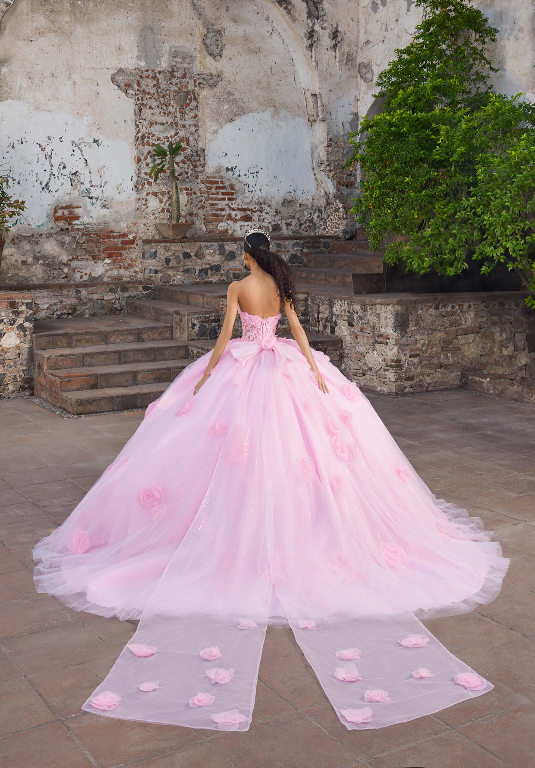 Anastasia Quinceañera Dress - Image 6