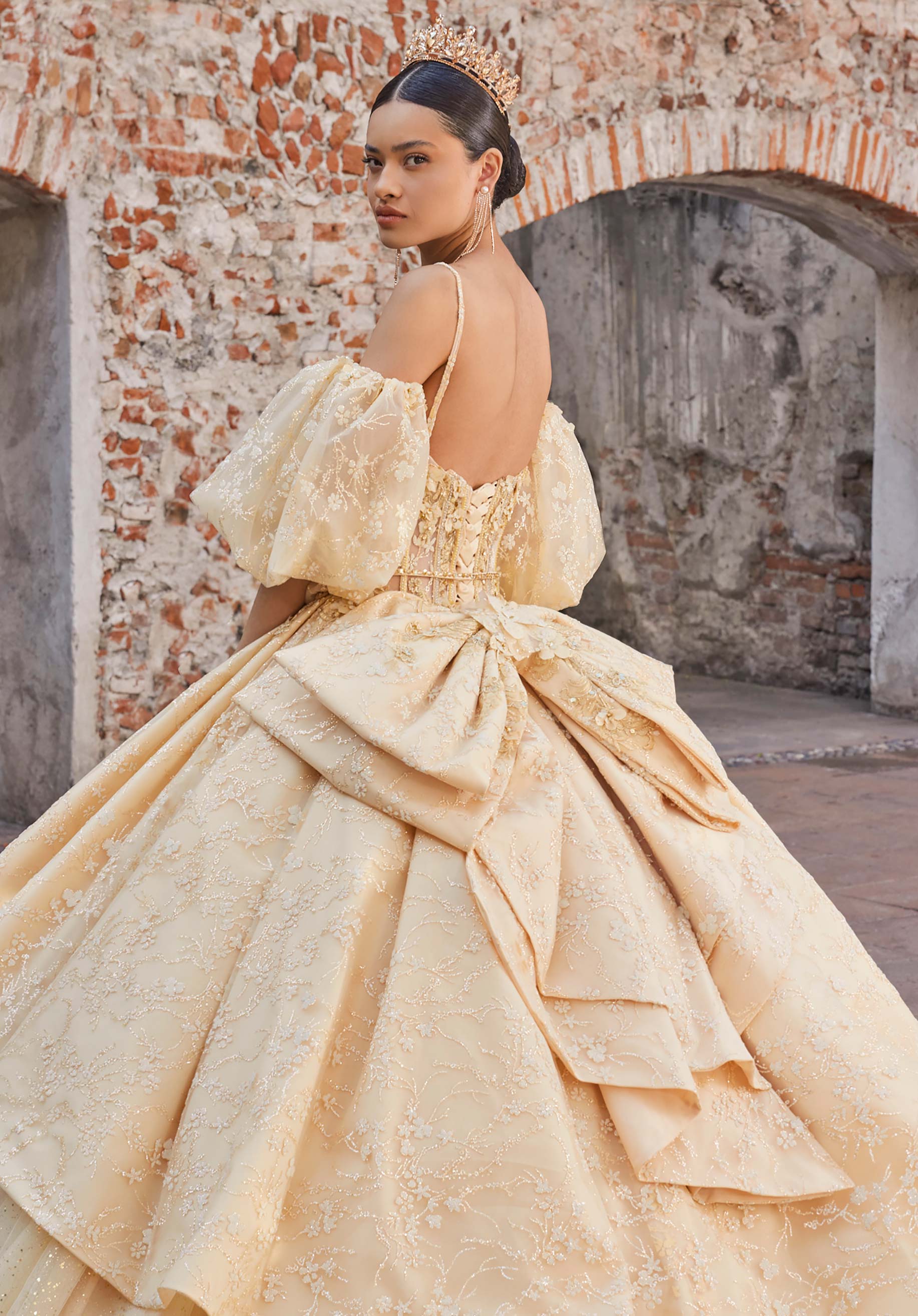 Audrey Quinceañera Dress - Image 5