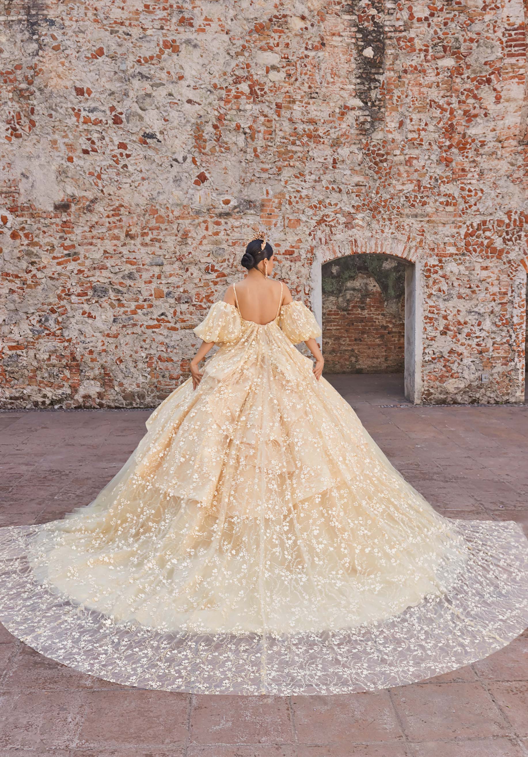Audrey Quinceañera Dress - Image 6