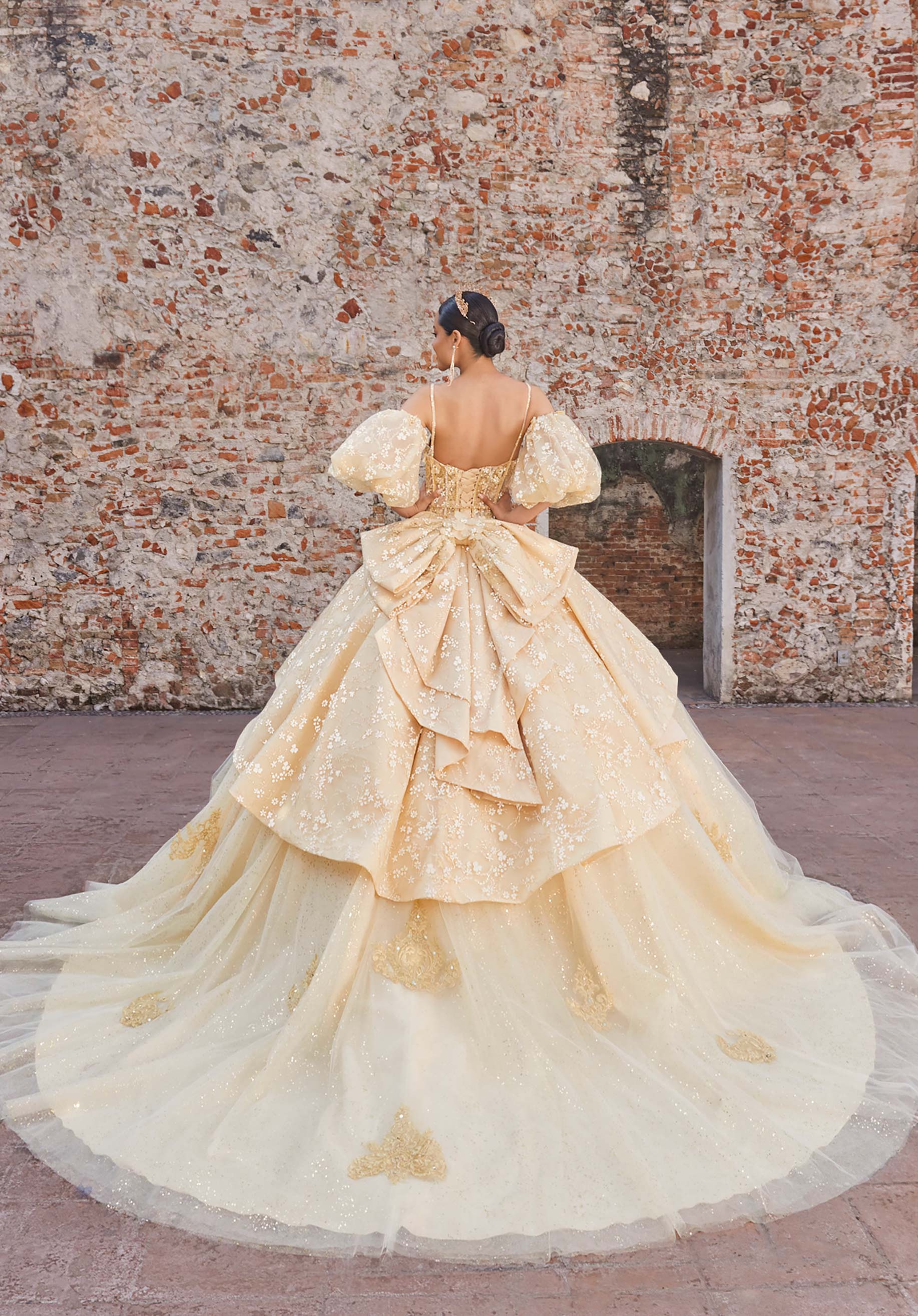 Audrey Quinceañera Dress - Image 7