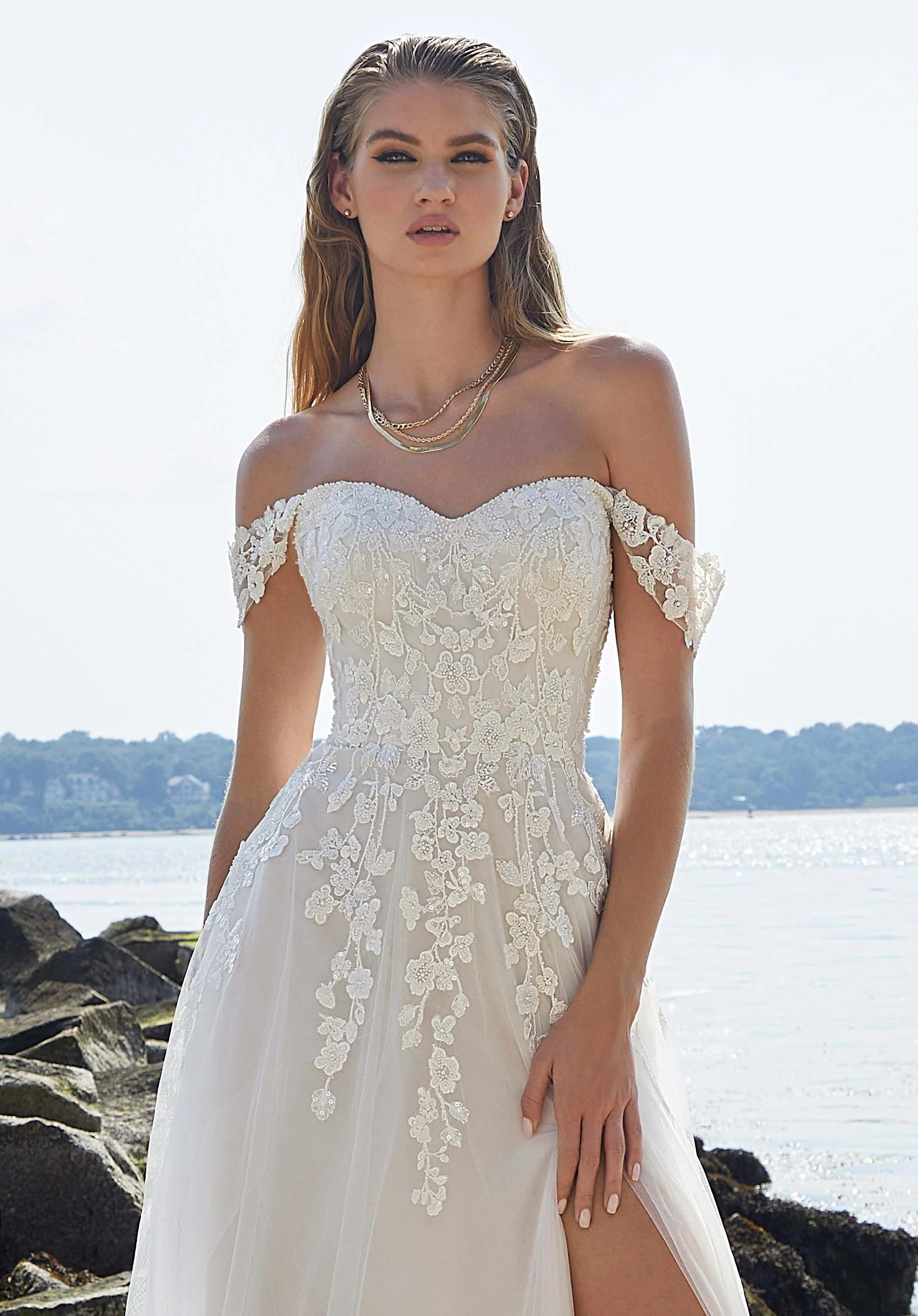Beaded Embroidery on Tulle Sleeves