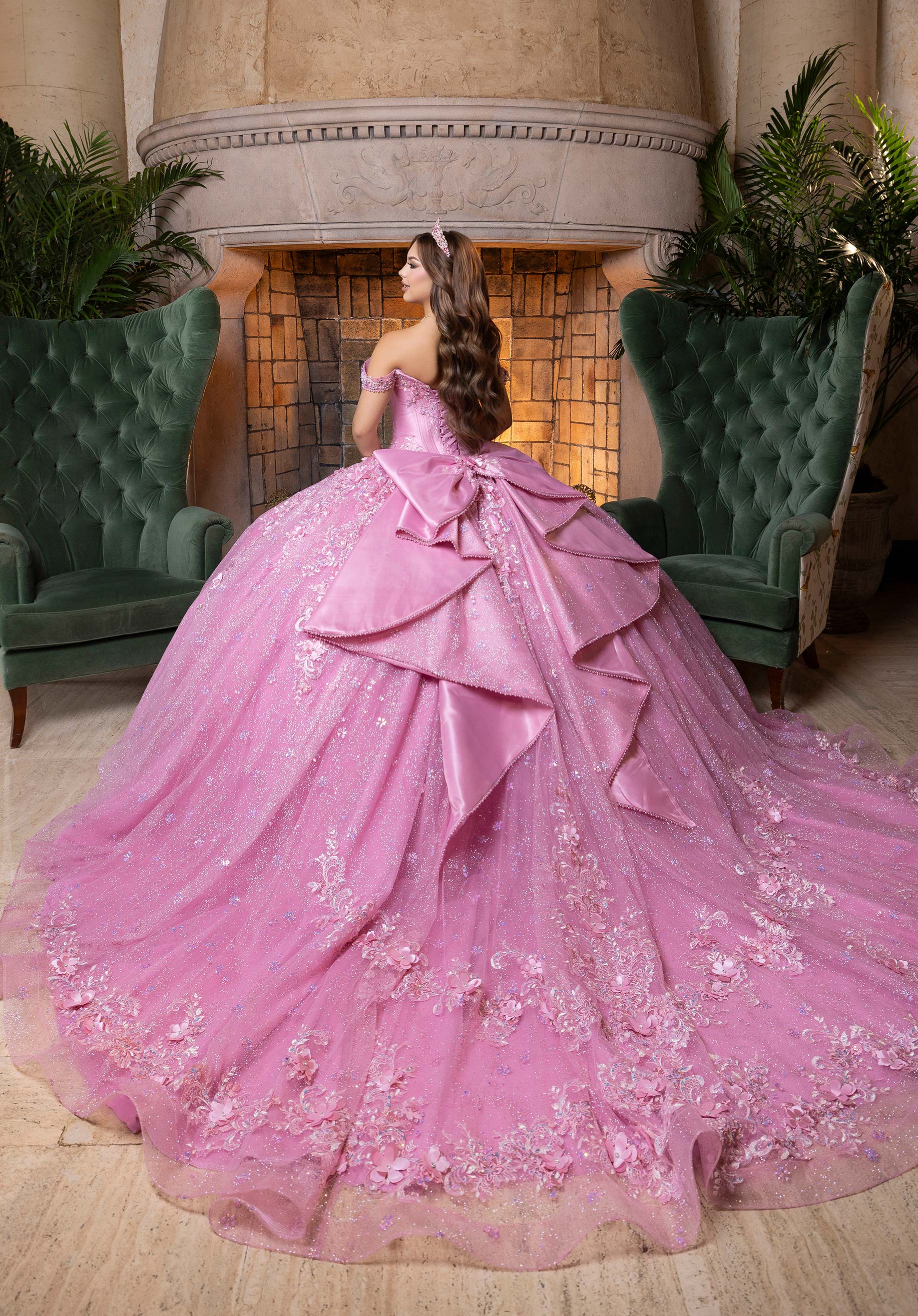 Bibiana Quinceañera Dress - Image 7