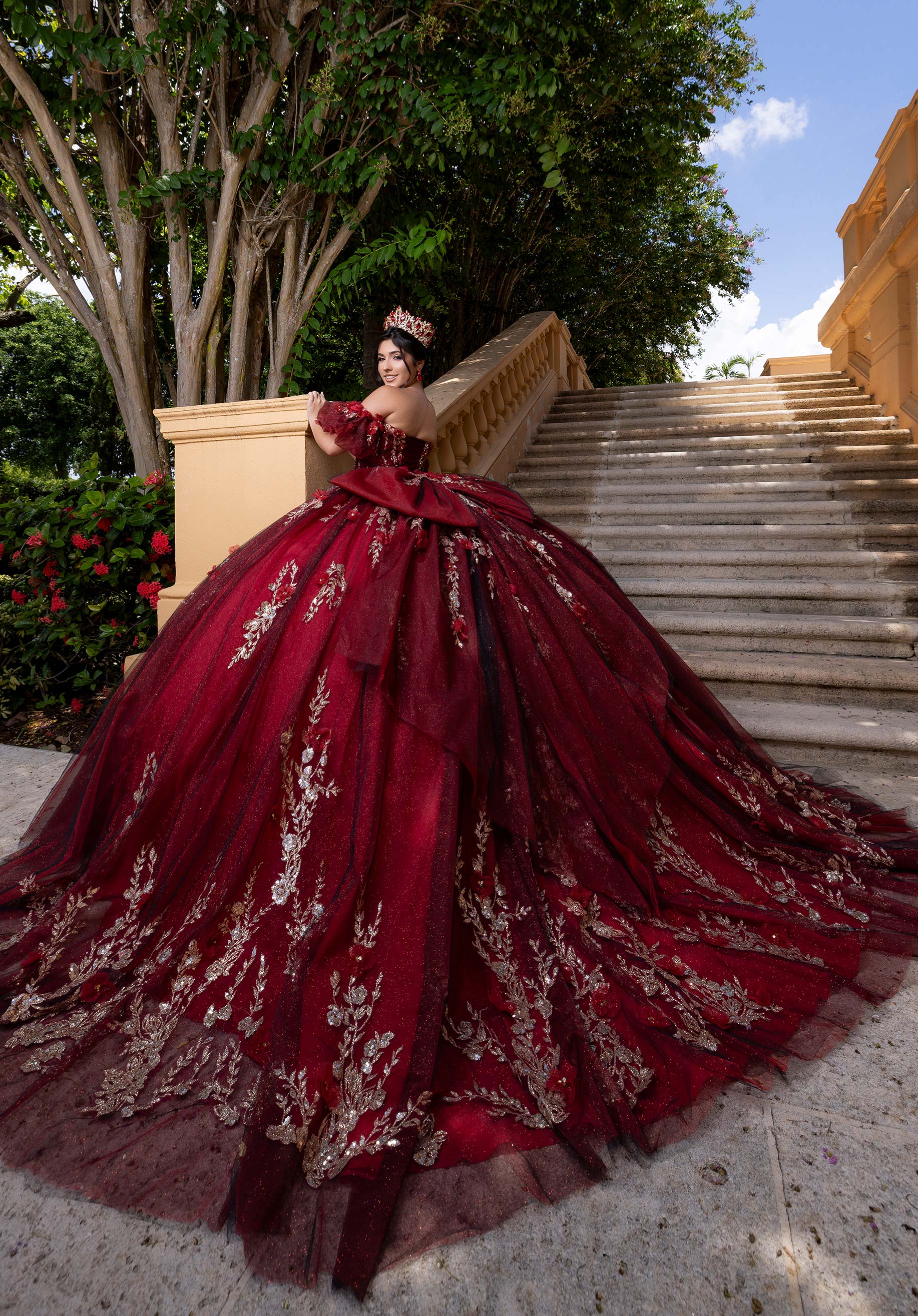 Blair Quinceañera Dress - Image 8