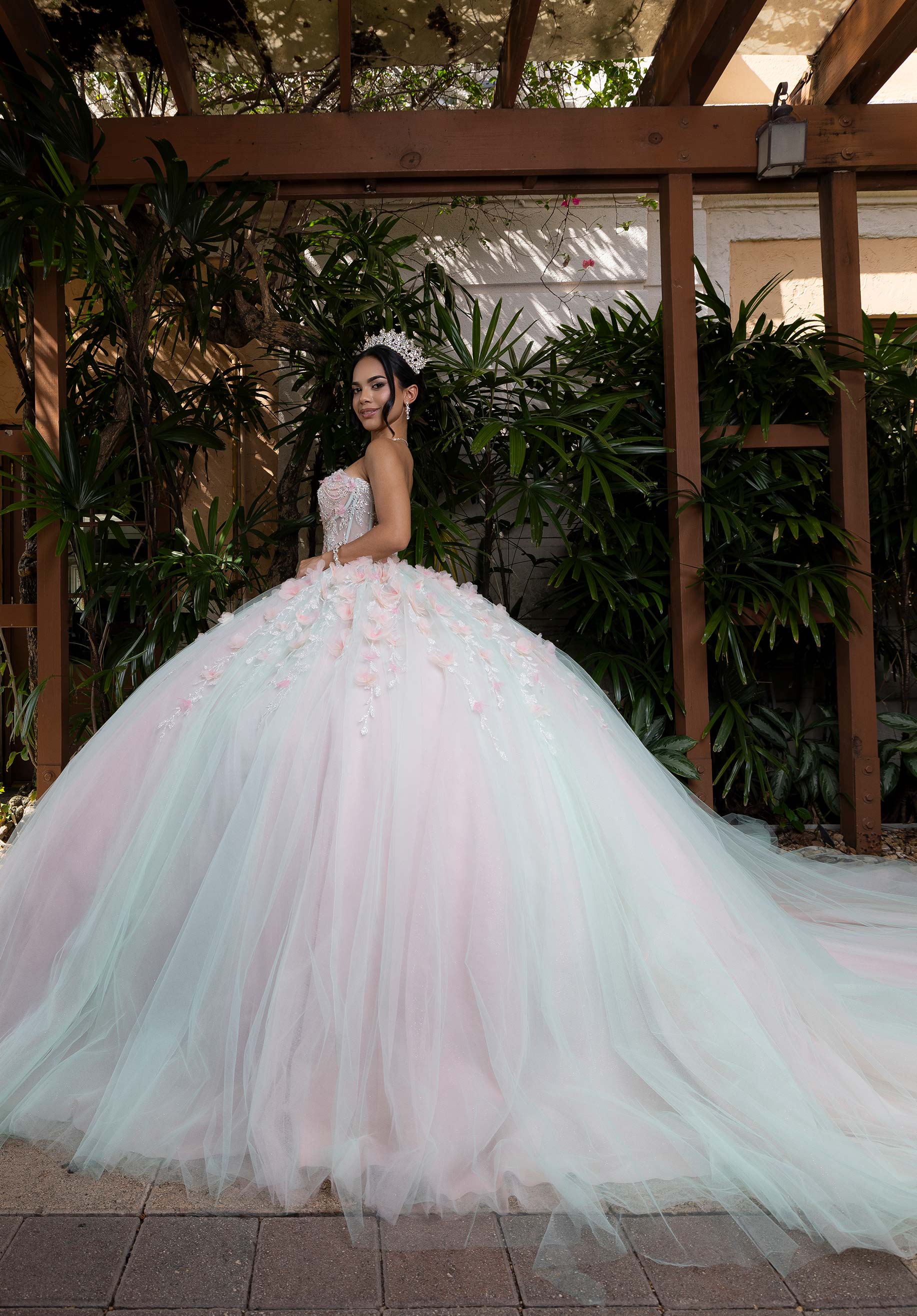 Blake Quinceañera Dress - Image 2