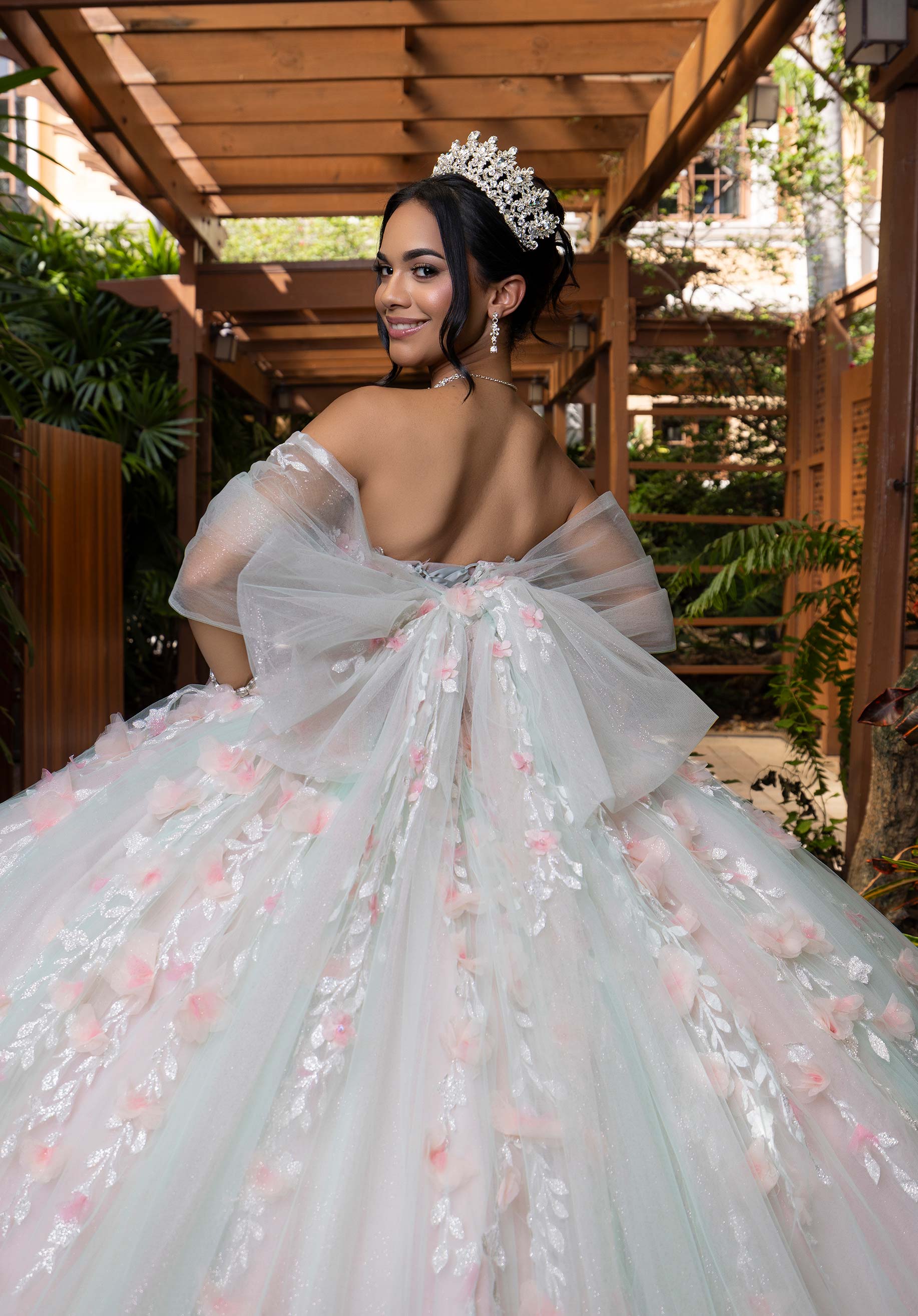 Blake Quinceañera Dress - Image 4