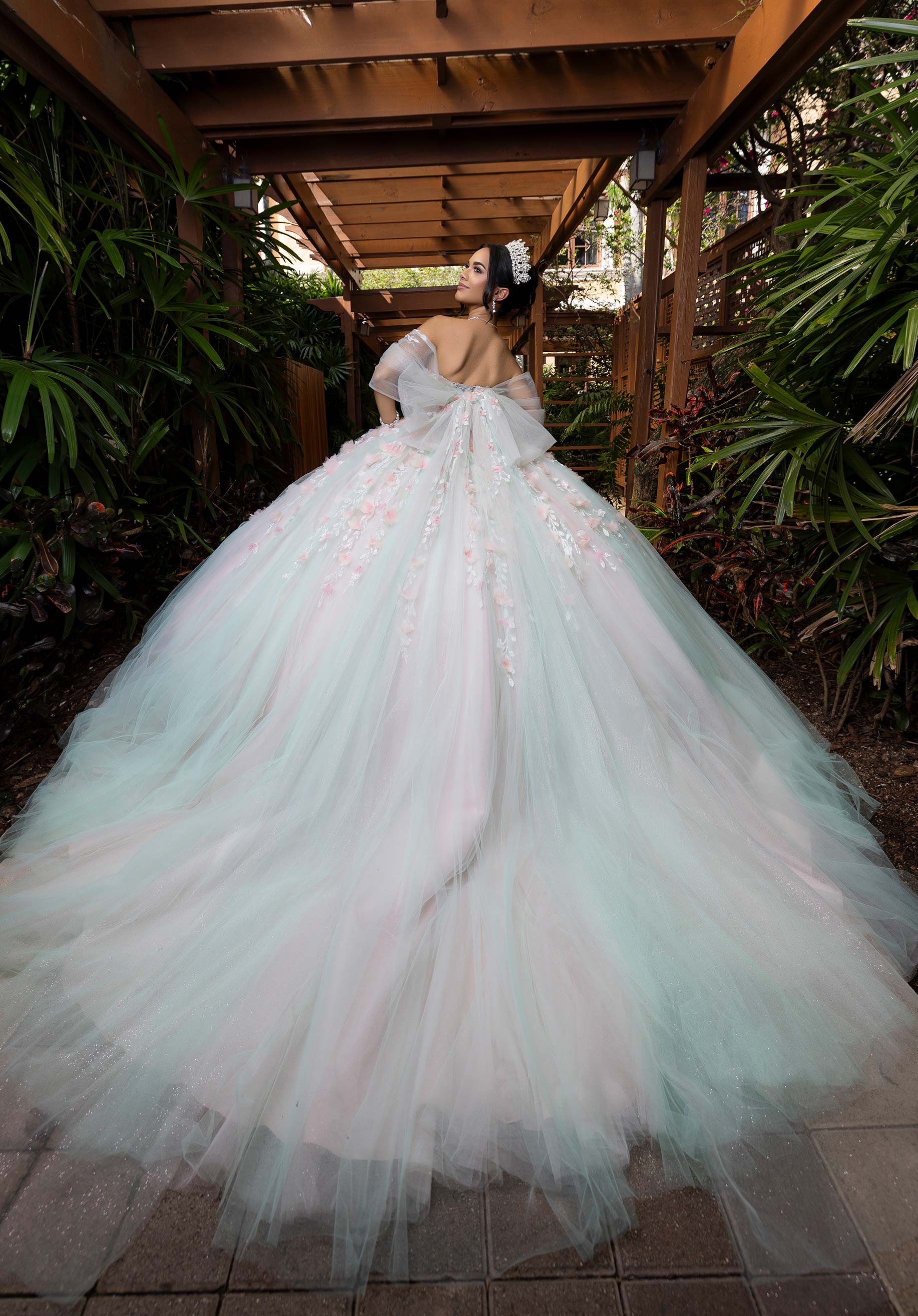 Blake Quinceañera Dress - Image 5