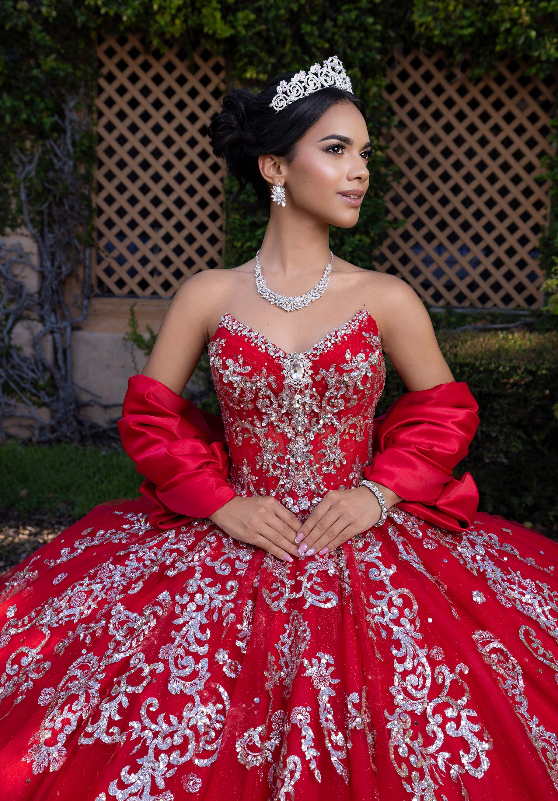 Brenda Quineañera Dress - Image 8