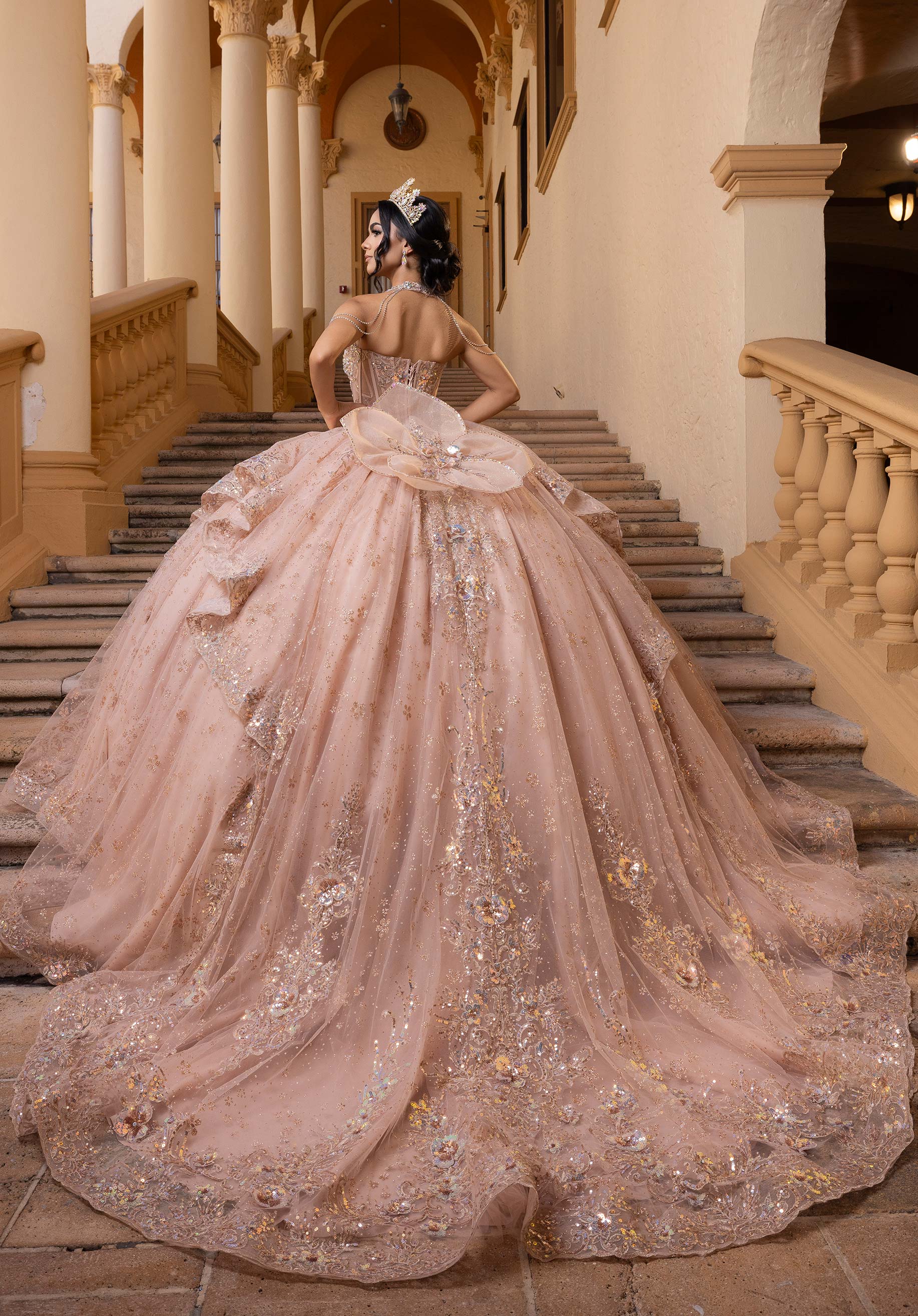 Brianna Quinceañera Dress - Image 6
