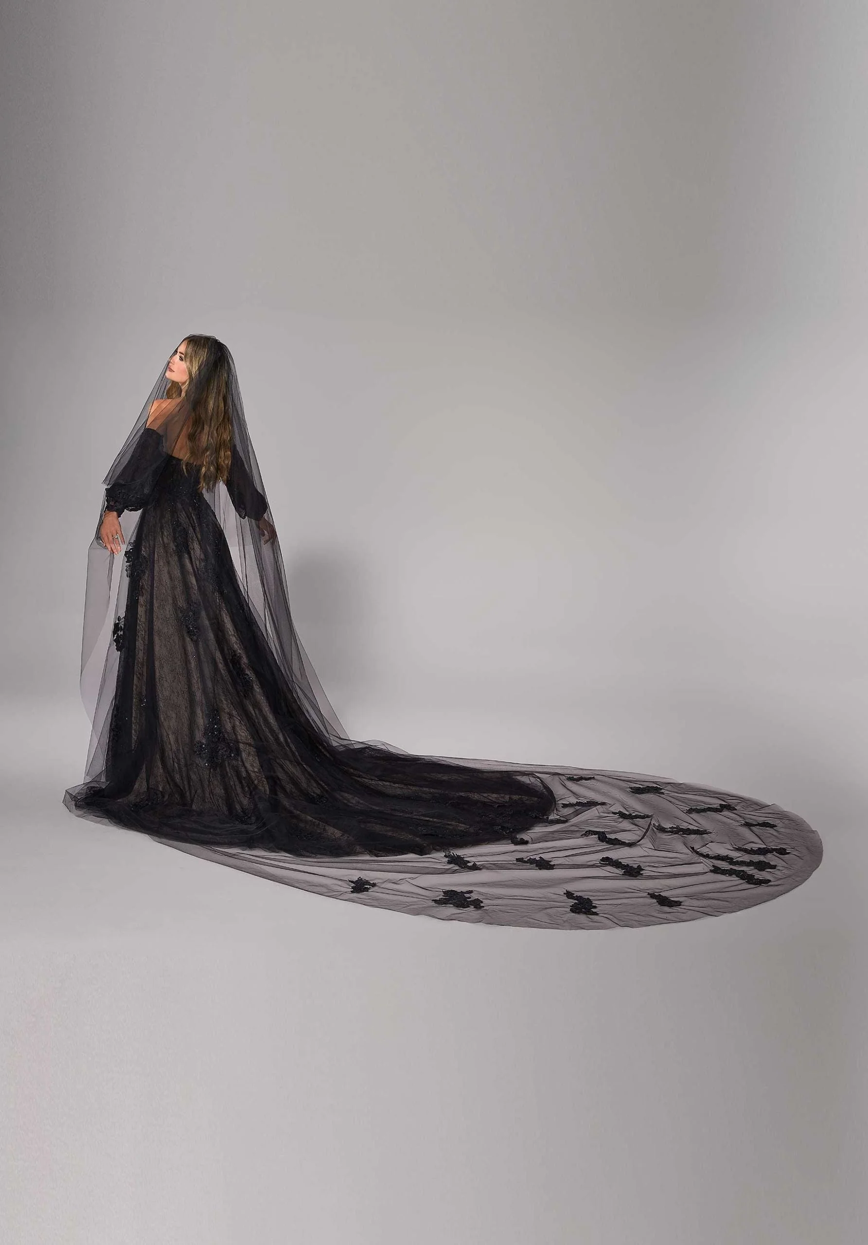 Cathedral Length Veil with Lace Appliqués - Image 3
