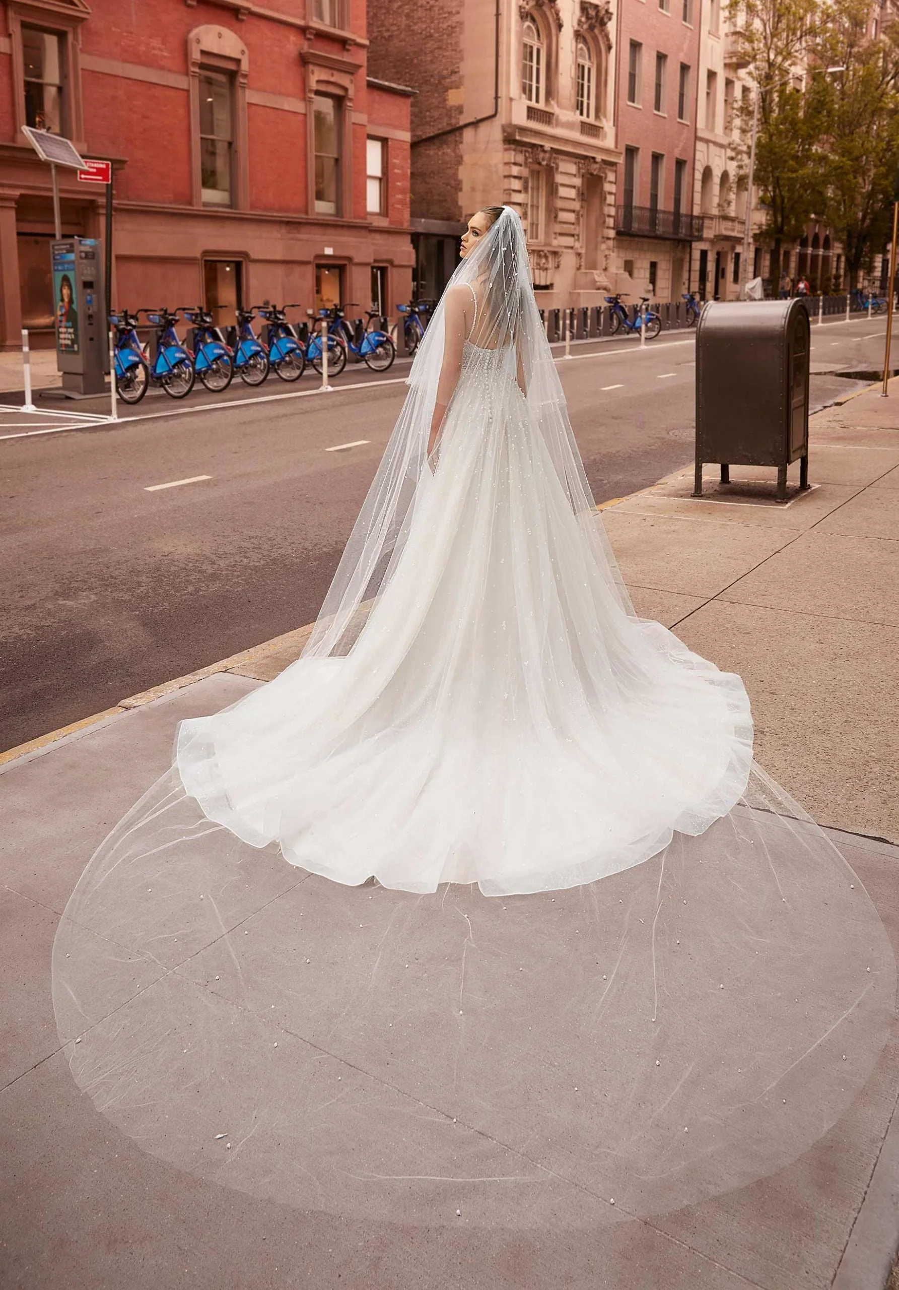 Cathedral Length Veil with Pearls - Image 2