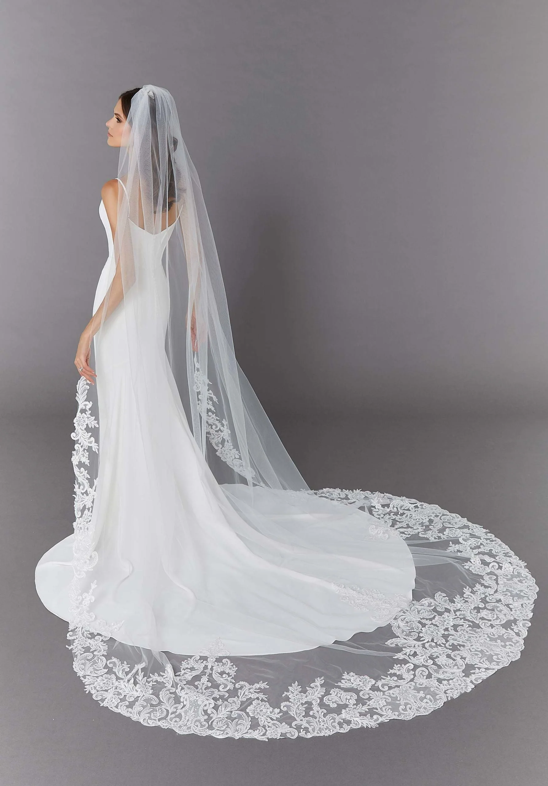 Cathedral Veil with Lace