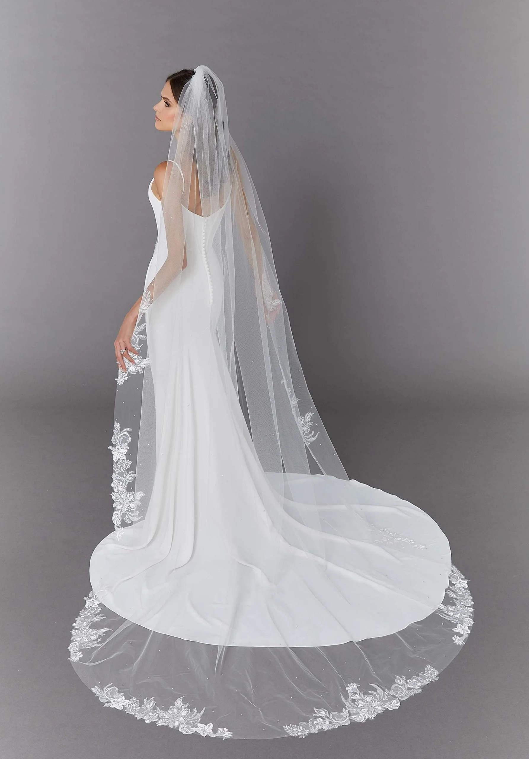 Cathedral Veil with Sparkle Lace