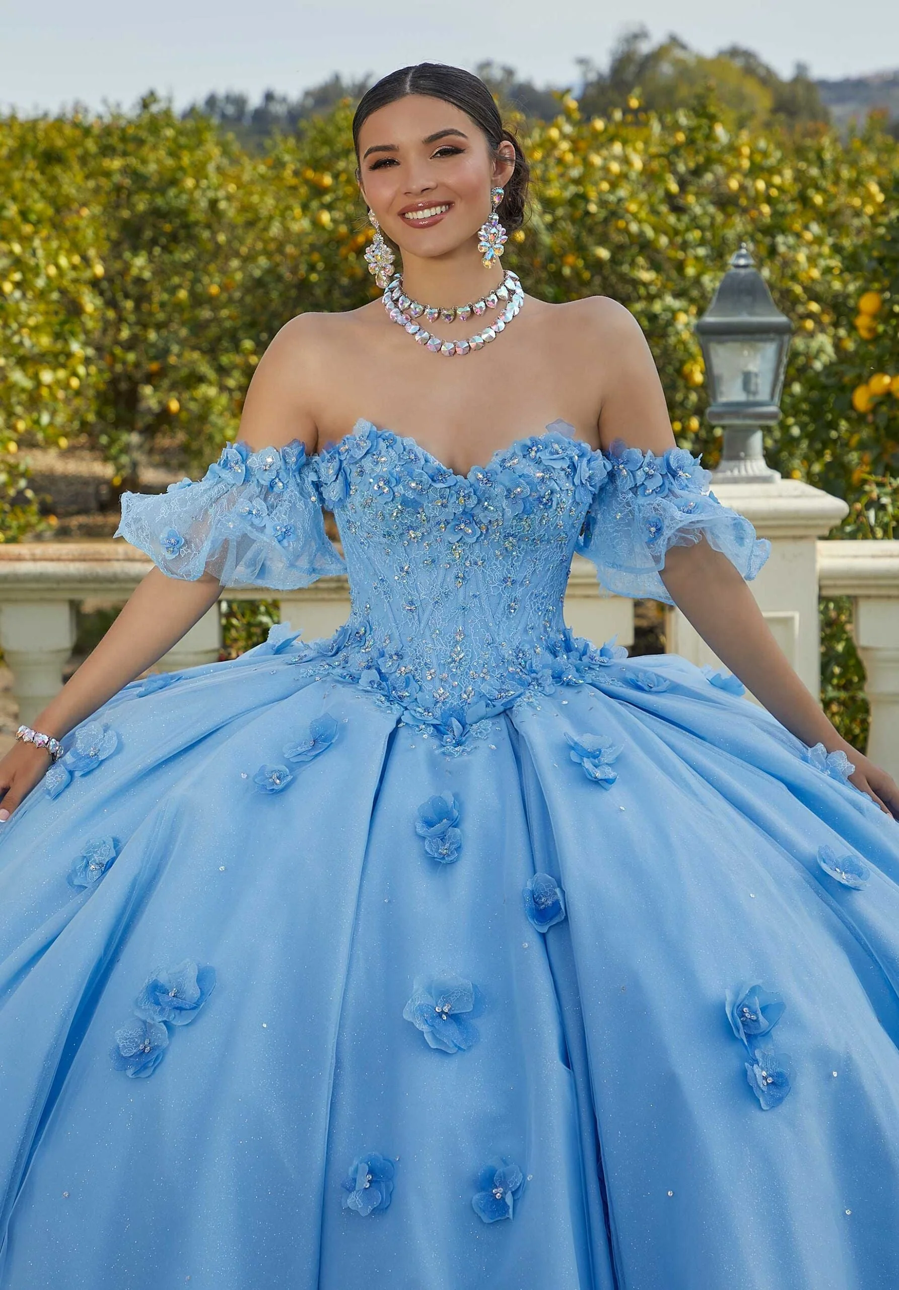 Chantilly Lace Quinceañera Dress with Floral Appliqués - Image 6
