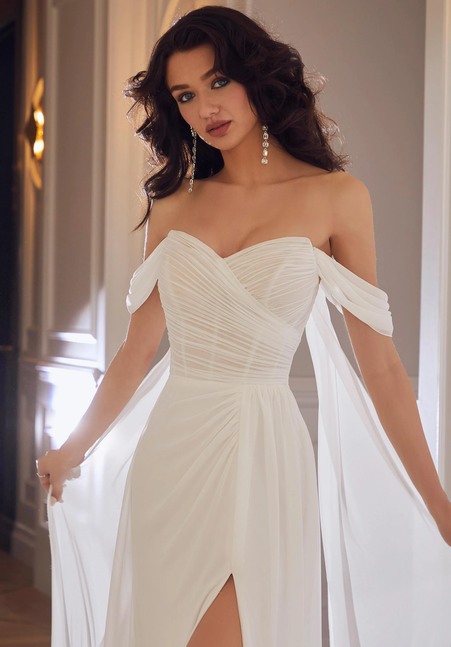 Chiffon Sleeves and Streamer Set