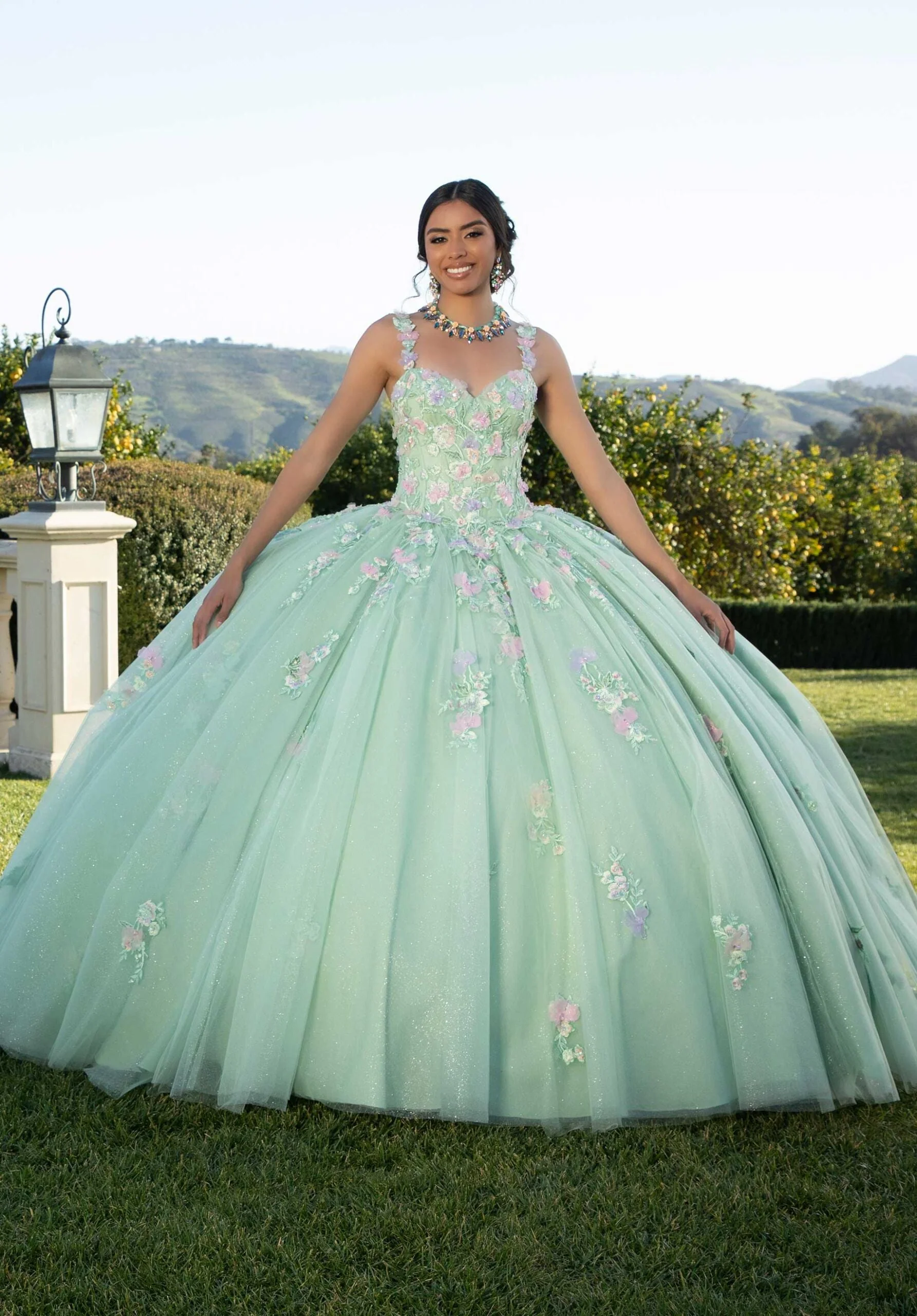 Contrasting Three-Dimensional Floral Embroidered Quinceañera Dress - Image 4