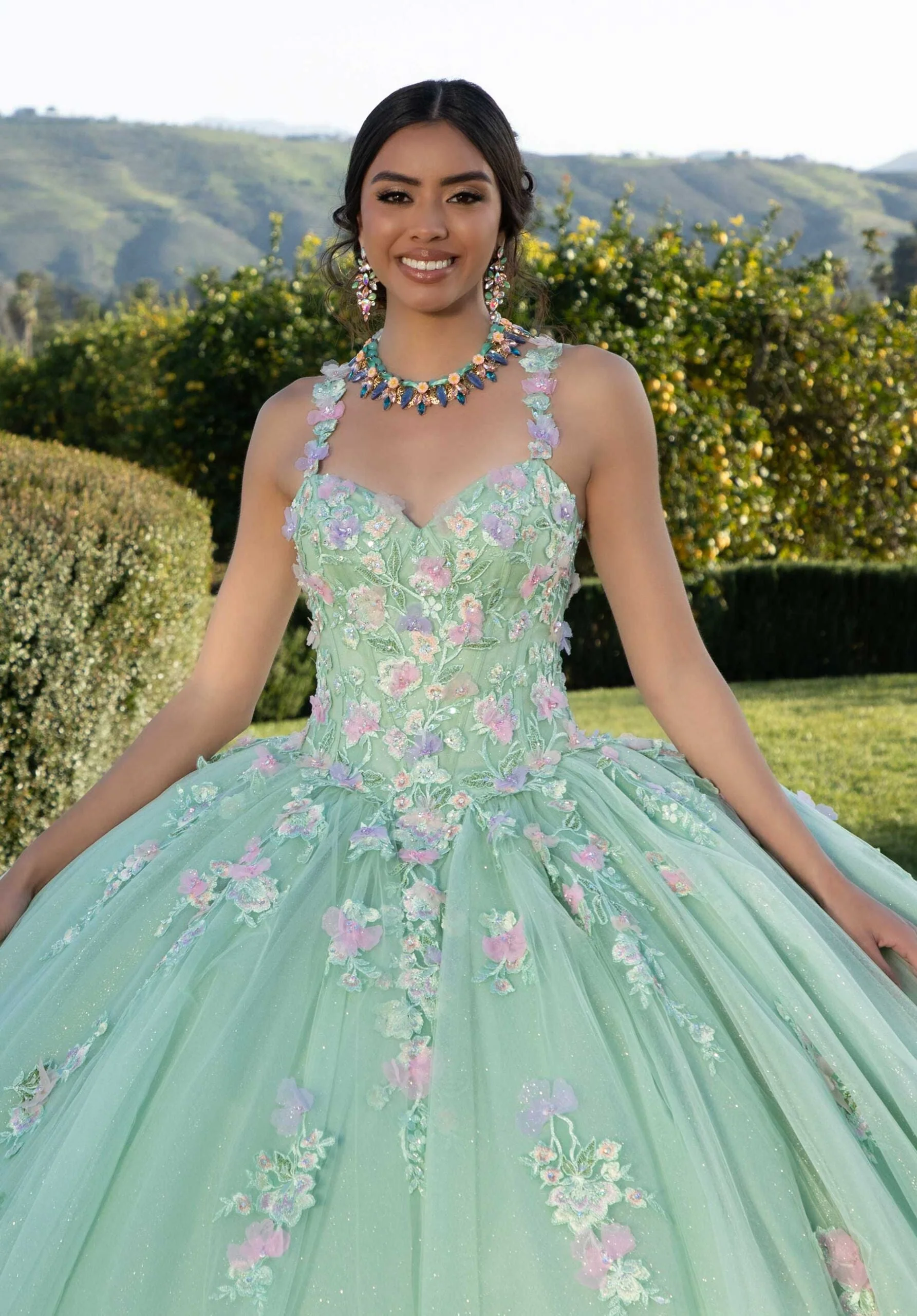 Contrasting Three-Dimensional Floral Embroidered Quinceañera Dress - Image 5