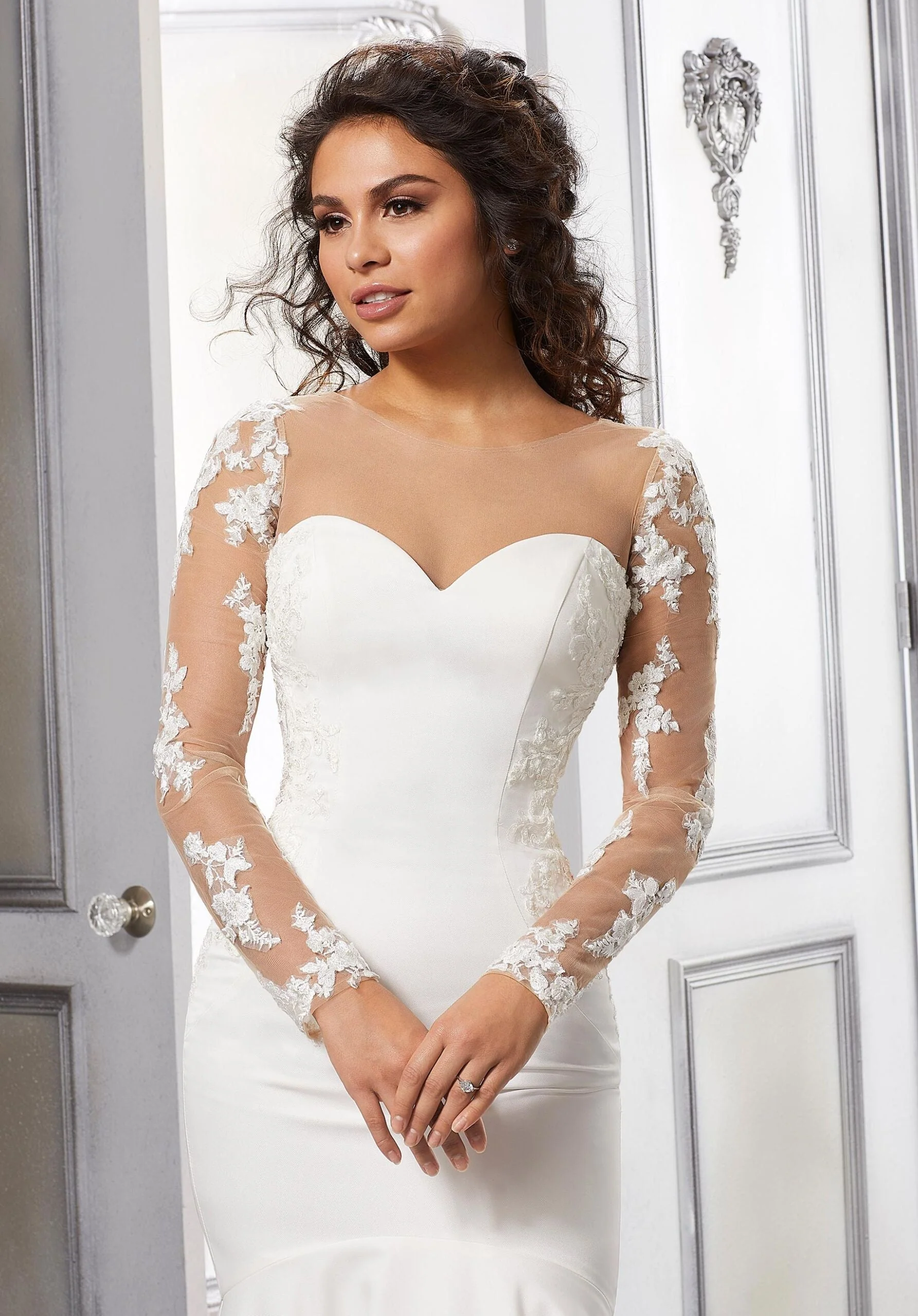 Embroidered Appliqués on Net Sleeves