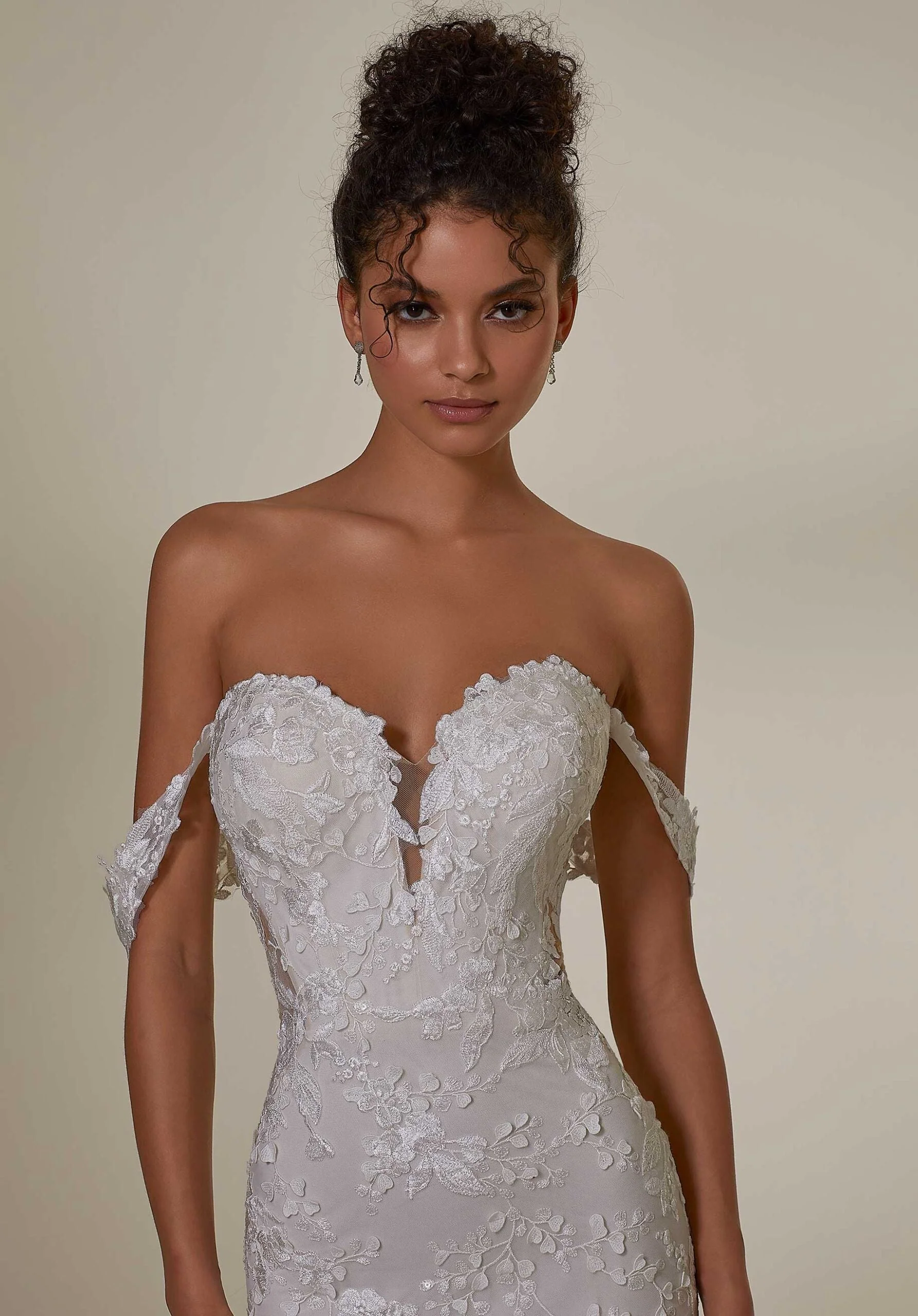 Embroidered Lace Sleeves