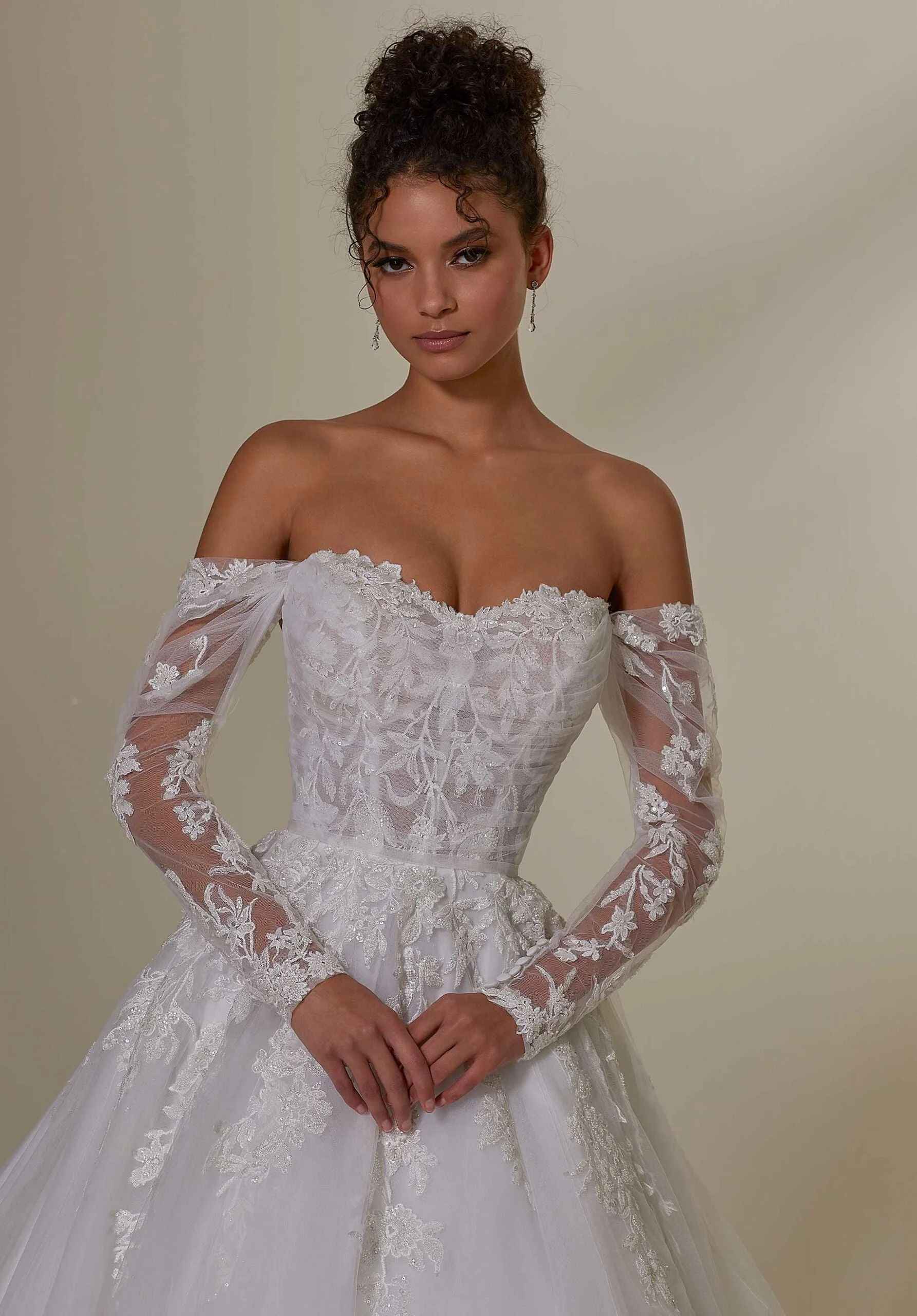 Frosted Embroidered Tulle Long Sleeves