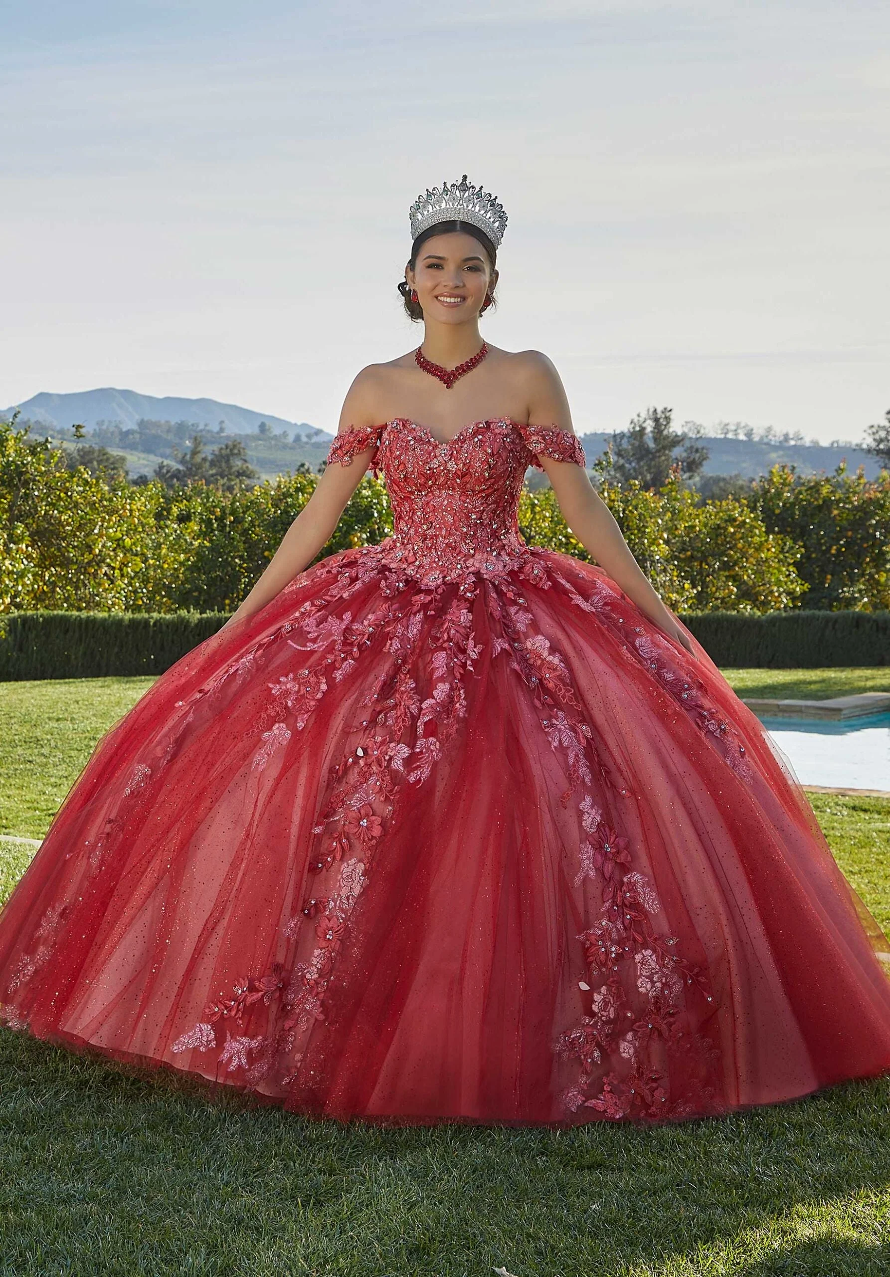Glitter Embroidered Sparkle Tulle Quinceañera Dress - Image 6