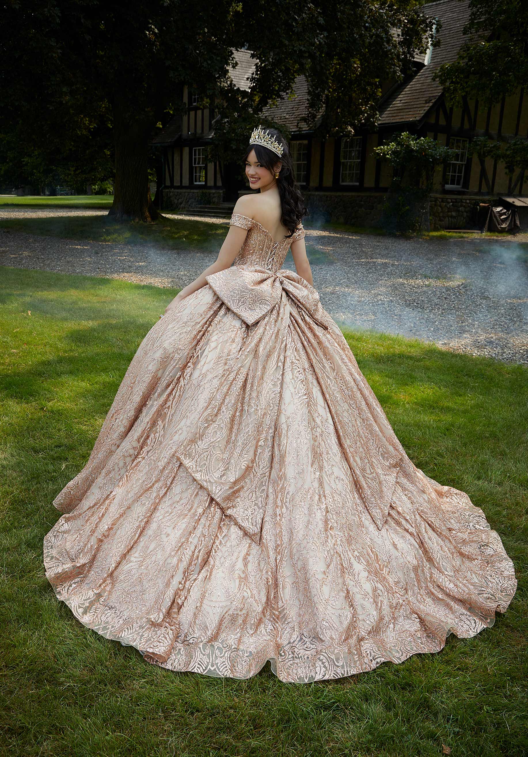 Jewel Beaded Glitter Tulle Quinceañera Dress - Image 9