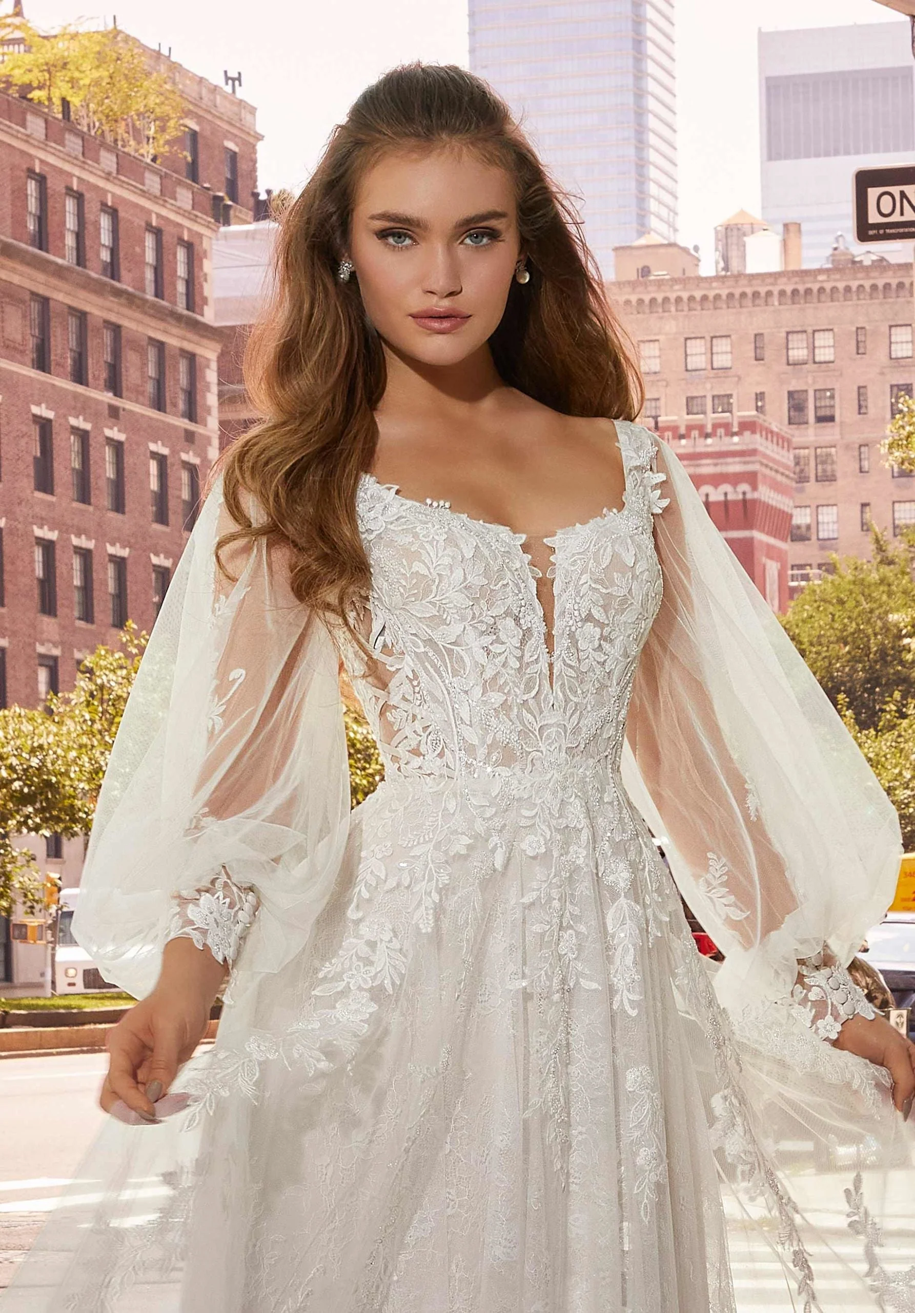 Lace on Net Bishop Sleeves