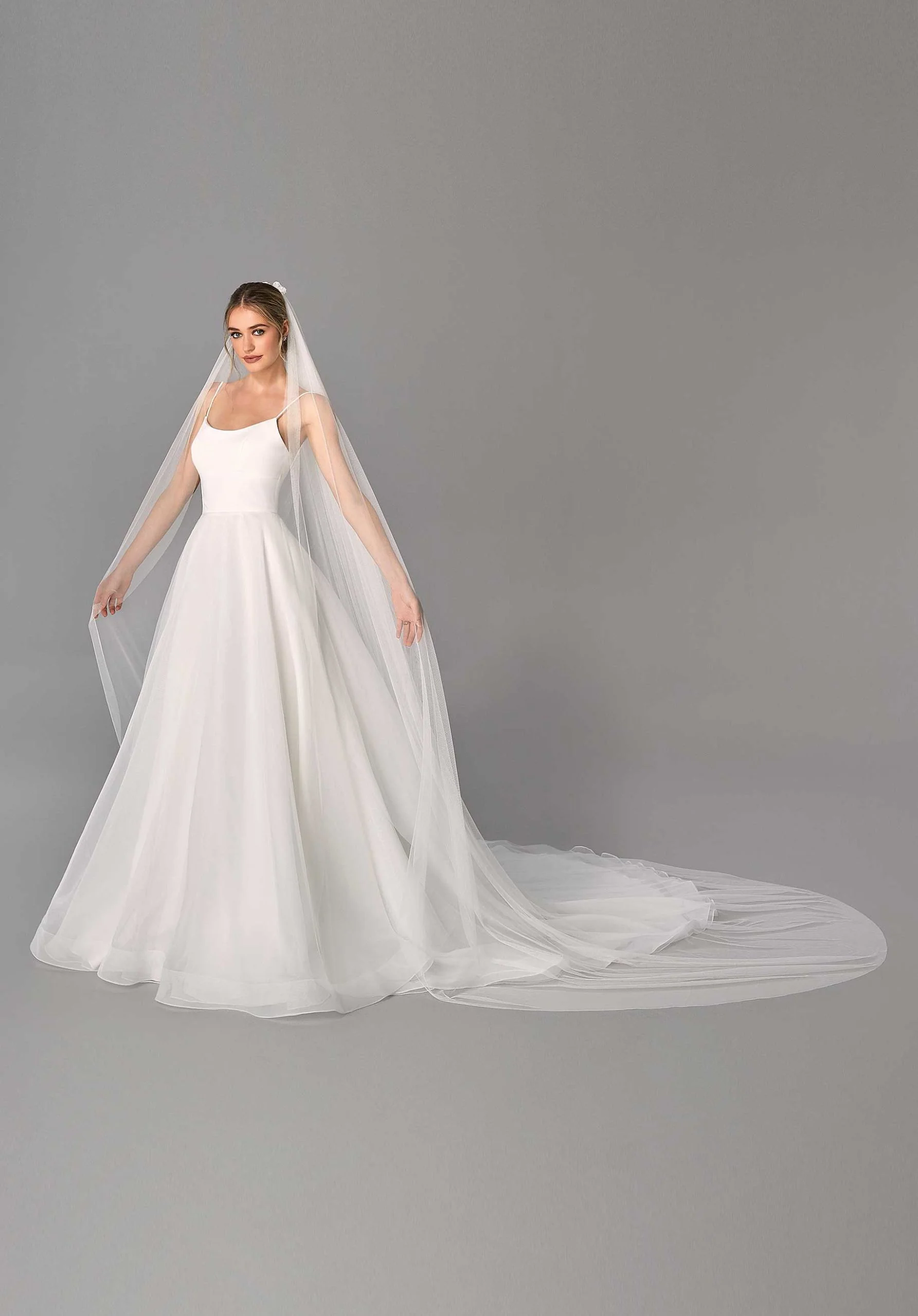 Soft Net Cathedral Length Veil